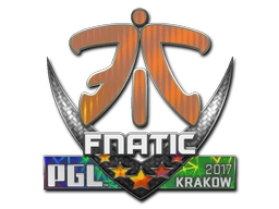 Fnatic (Holo) | Krakow 2017