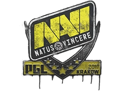 Natus Vincere | Krakow 2017