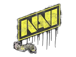 Natus Vincere | Paris 2023