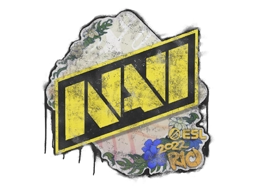 Natus Vincere | Rio 2022