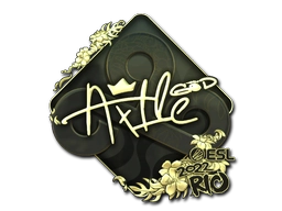 Ax1Le (Gold) | Rio 2022