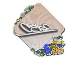 CeRq | Rio 2022