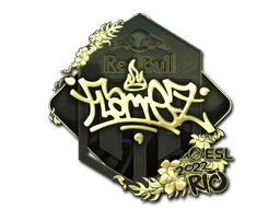 FlameZ (Gold) | Rio 2022