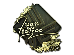 juanflatroo (Gold) | Rio 2022