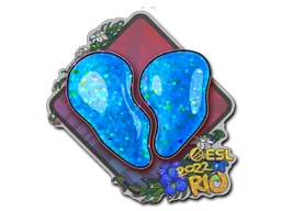 CS2 Stickers