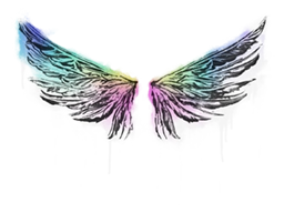 Wings